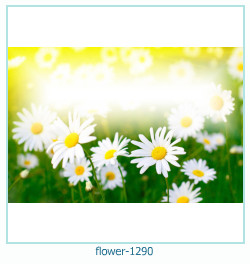 flower Photo frame 1290
