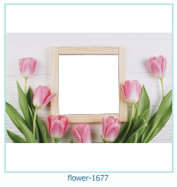 flower Photo frame 1677