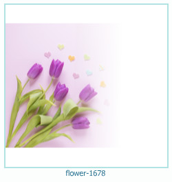 flower Photo frame 1678