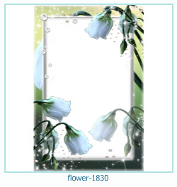 flower Photo frame 1830