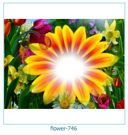 flower Photo frame 746