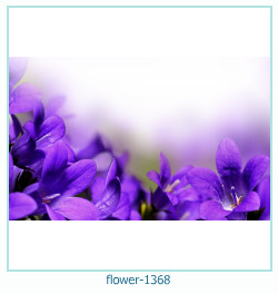 flower Photo frame 1368