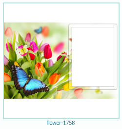 flower Photo frame 1758