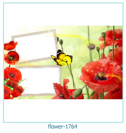 flower Photo frame 1764