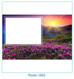 flower Photo frame 1862