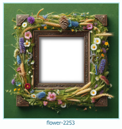 flower photo frame 2253