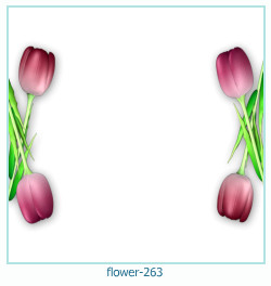 flower Photo frame 263