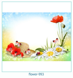 flower Photo frame 993
