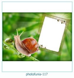 photofunia Photo frame 117