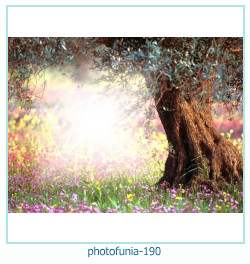 photofunia Photo frame 190
