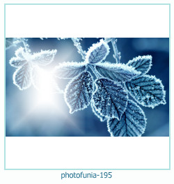 photofunia Photo frame 195